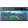 Carolina Panthers Stadium Panoramic 1000-Piece Puzzle