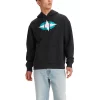 Men's Levi's® Silvertab™ Relaxed Graphic Hoodie -Clearance Sales Store 5599636 Caviar